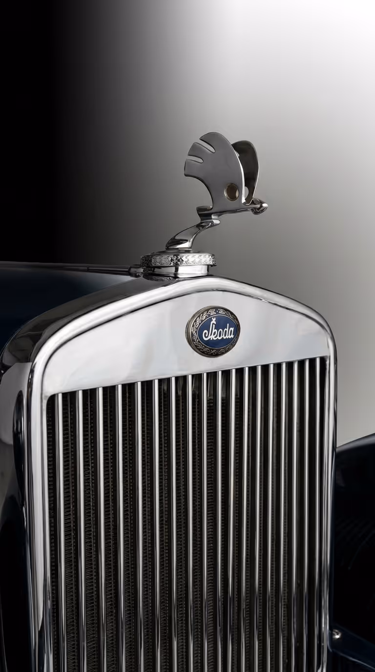 Skoda Logo History